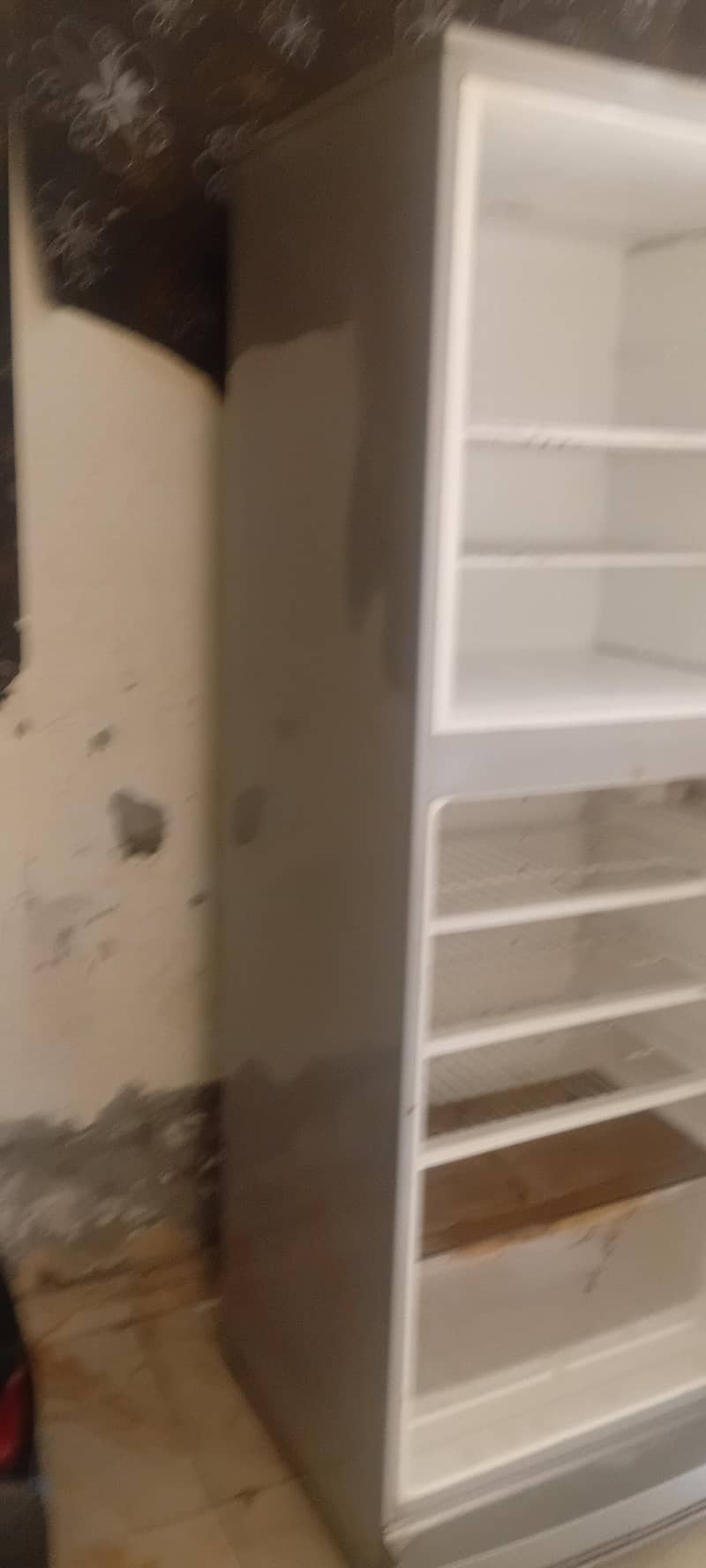 refrigator fridge 1