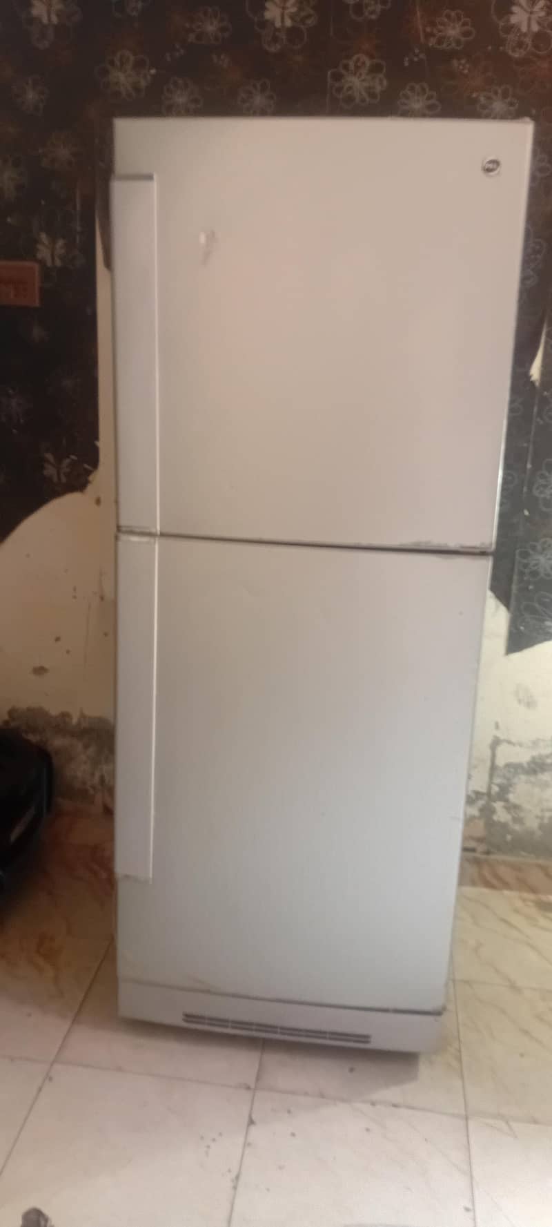 refrigator fridge 2