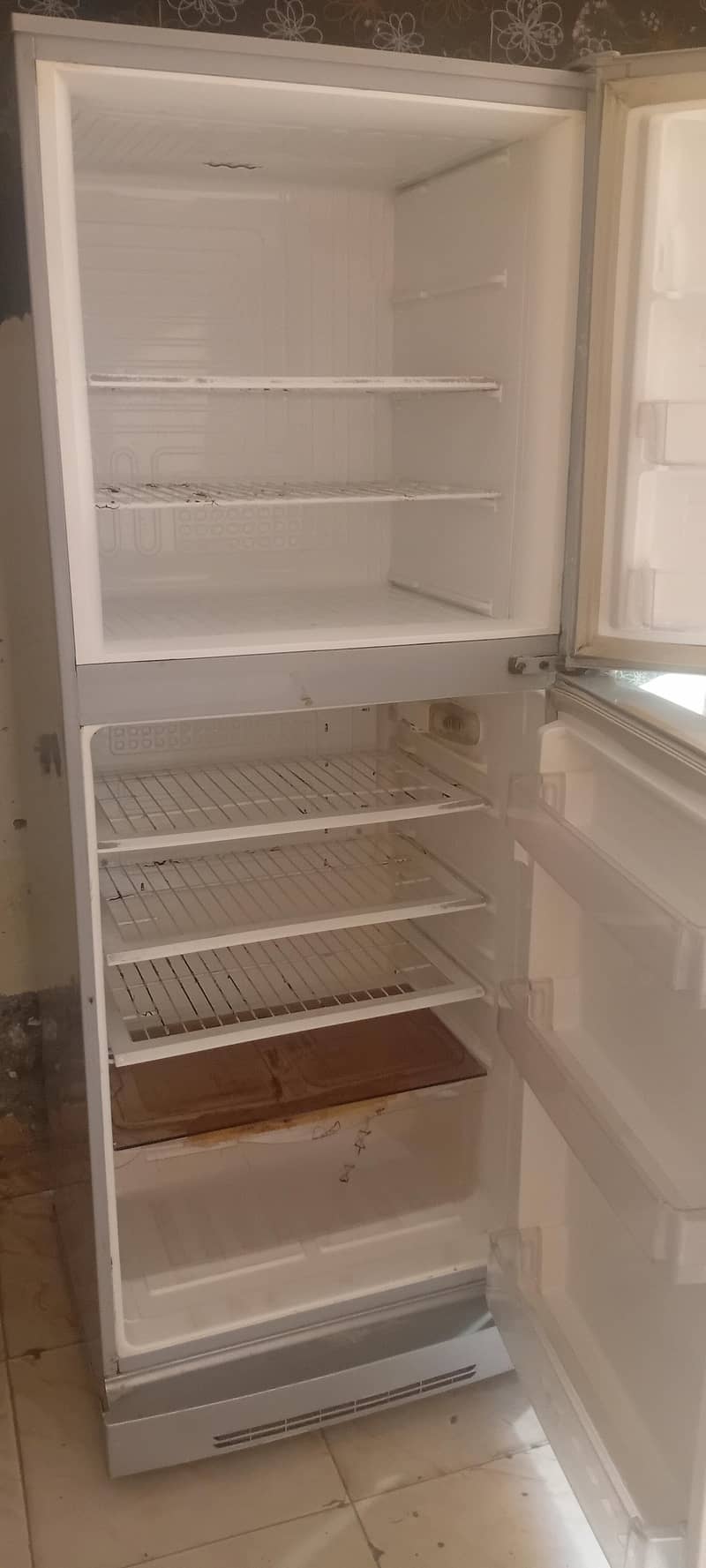 refrigator fridge 4