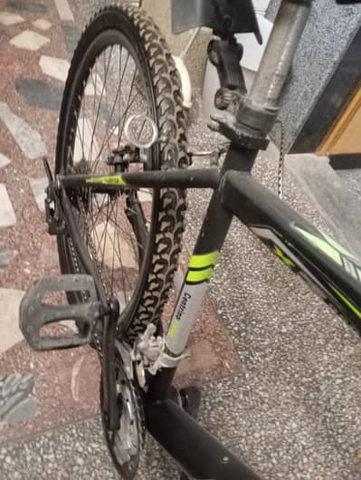 Riding bicycle