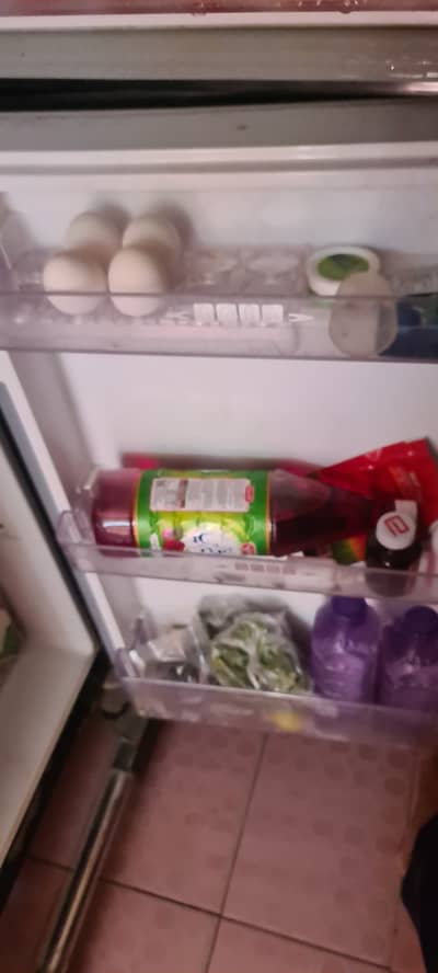Refrigerator for dale