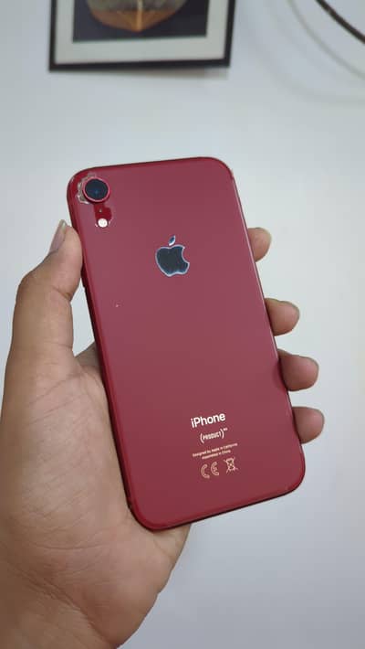 iphone XR dual PTA pack
