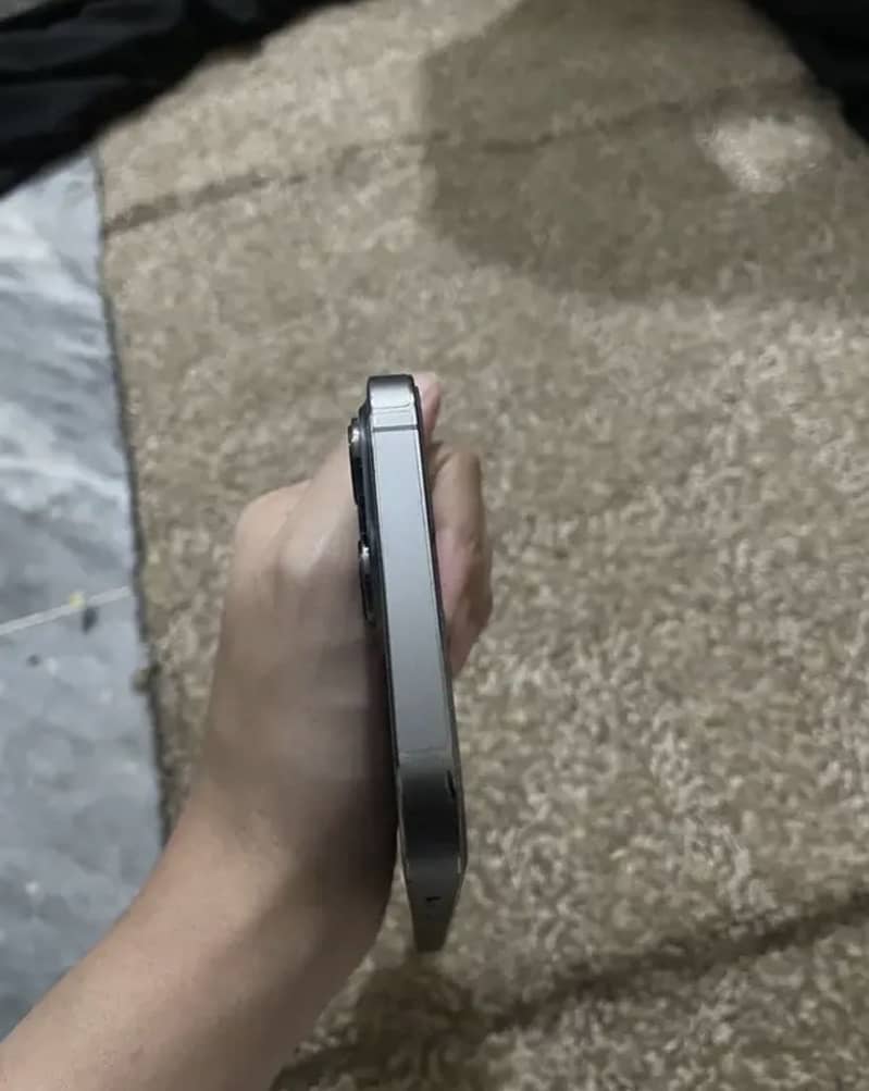 iPhone 13 Pro Max 1