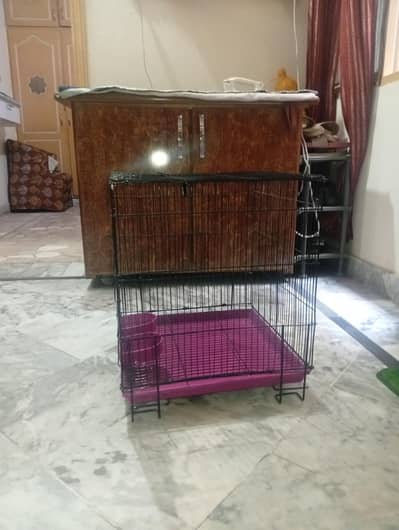 it's parrot cage for sale  contact number 03244246382