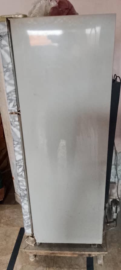 Dawlance Fridge for Eid ul Adha