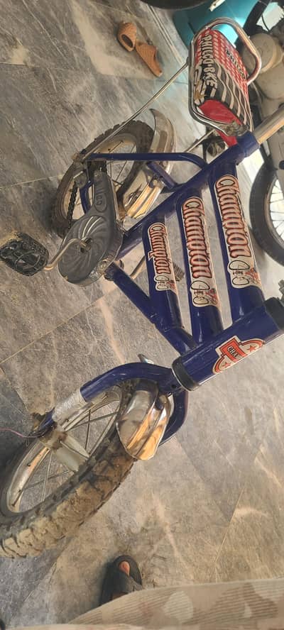 Champion bicycle