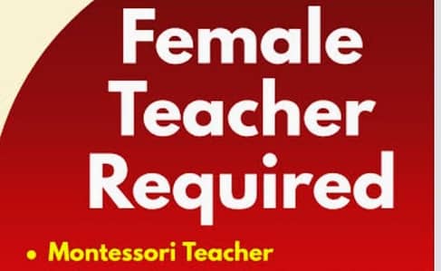 Home Tutor  (female)