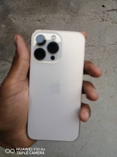 13pro