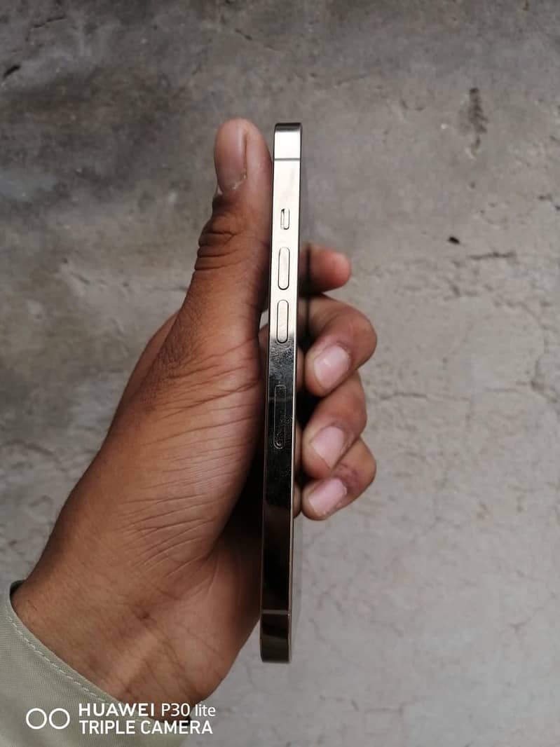 13pro 1