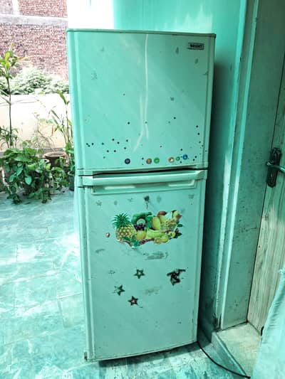 Orient Medium Size (14 cubic ft)