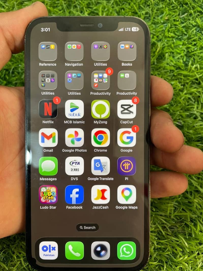 12 pro 0