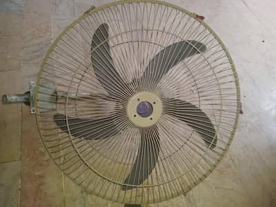 12 volt fan