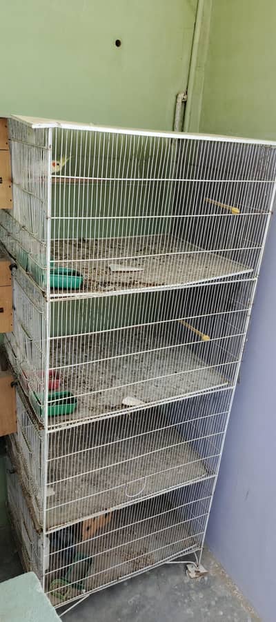 cream cocktail Birds cage