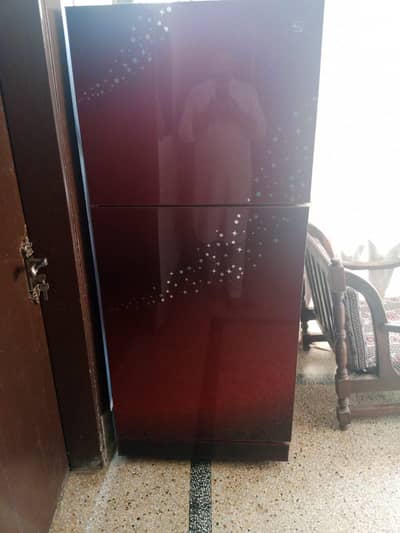 Good Condition Pel Glass Door Fridge