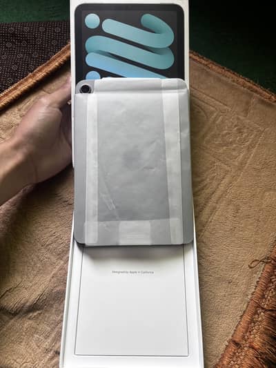 iPad Mini 6 256GB