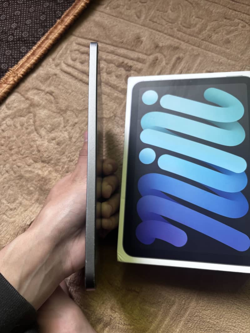 iPad Mini 6 256GB 3