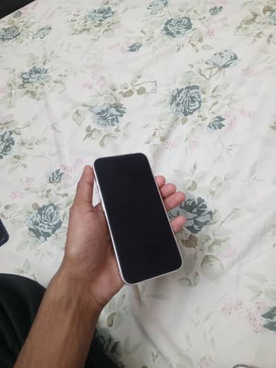 iPhone 16E