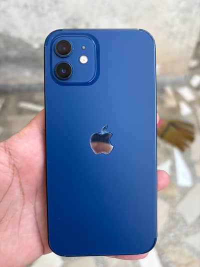 Iphone 12 Pta Approved