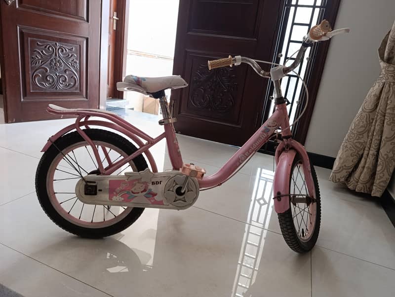 Bicycle 1