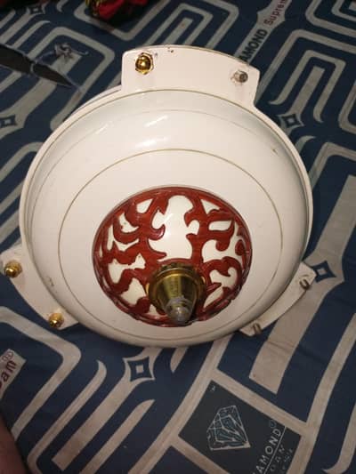 Royal fan
