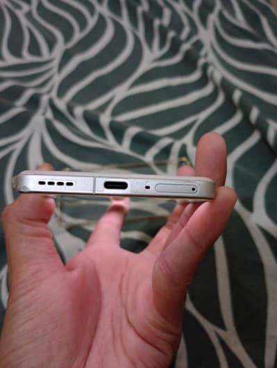 Realme gt 6(china variant)