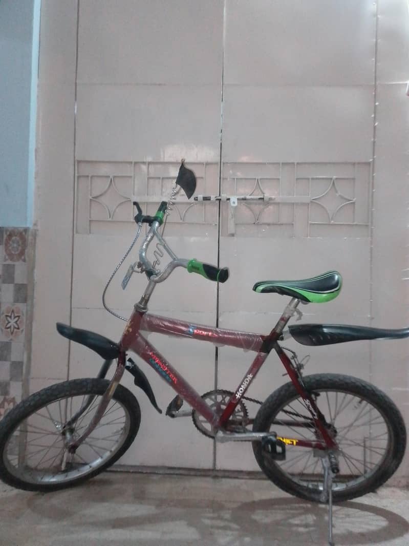 My cycle 1