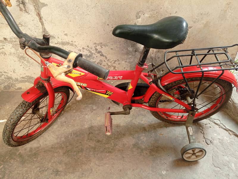 CHOTi cycle available 0