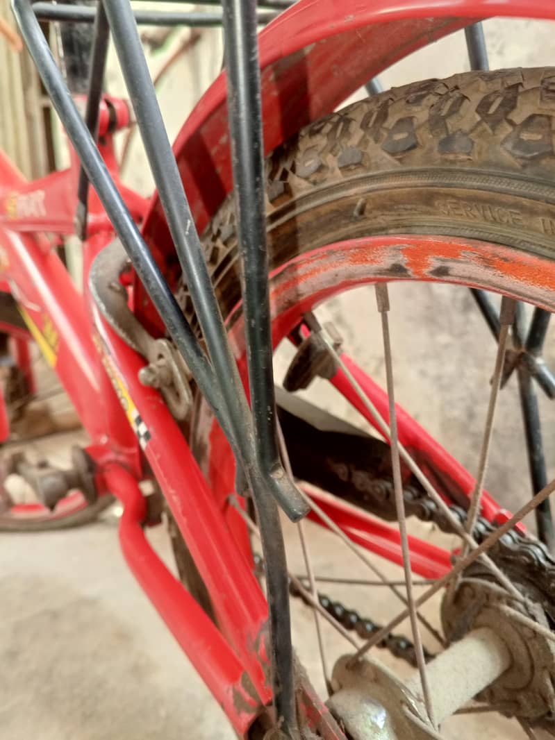 CHOTi cycle available 3