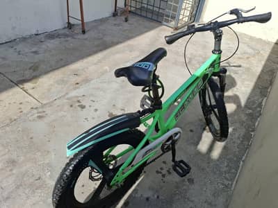 20 inches sports cycle