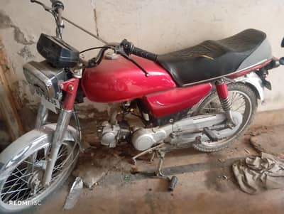 Shine Star Model 2018