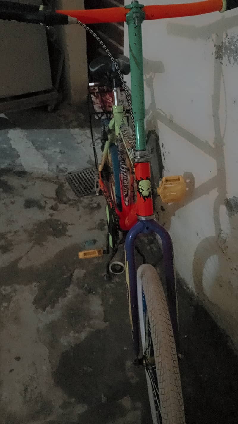 Phoenix cycle 3
