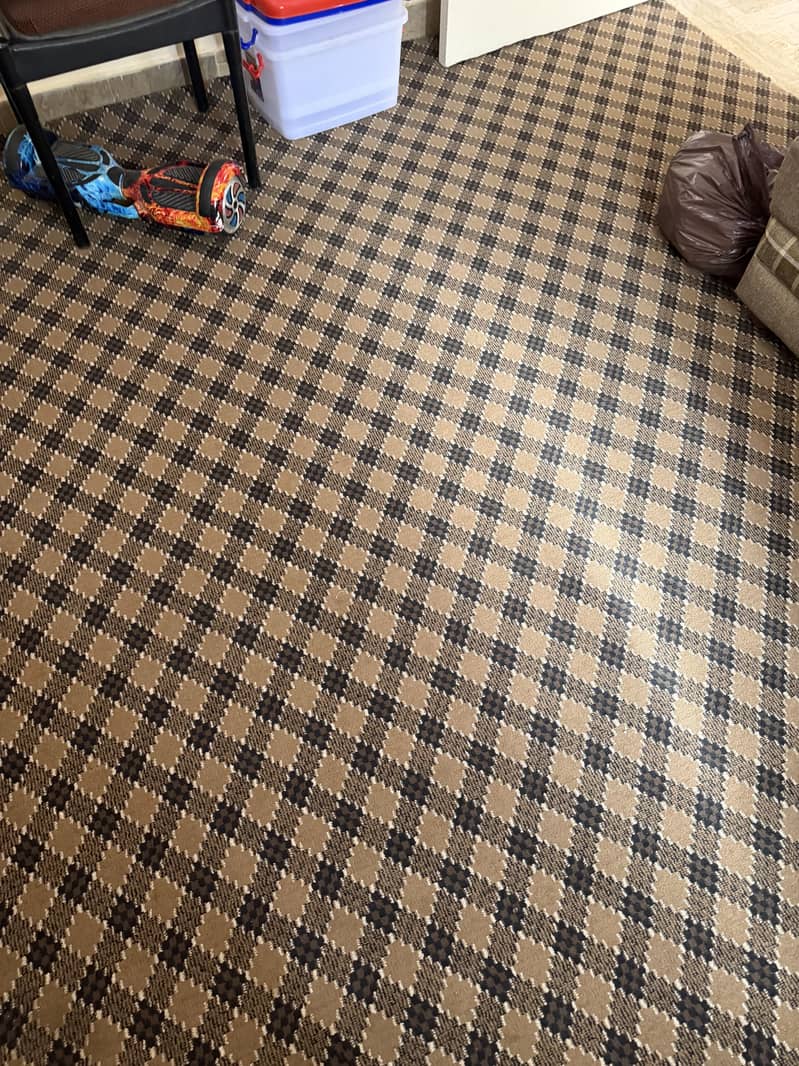 Carpet 1