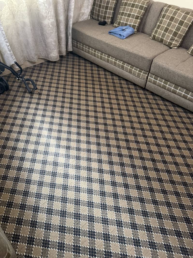 Carpet 2