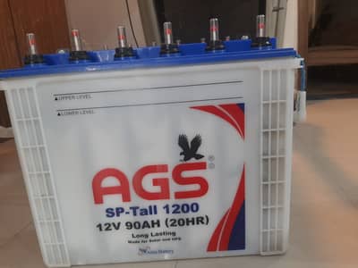 2 x AGS SP-Tall 1200 Tubular Batteries (90 Ah each) – Good Condition