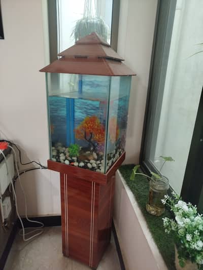 Aquarium wth pebbles and artificial plants