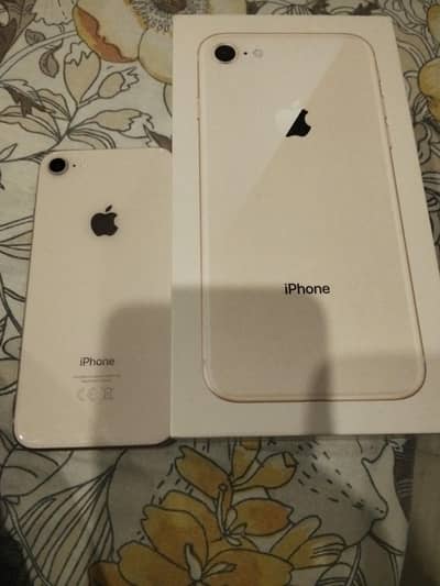 ist owner phone