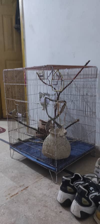 Genuine Condition Cage Pinjra For Australian Parrots budgies