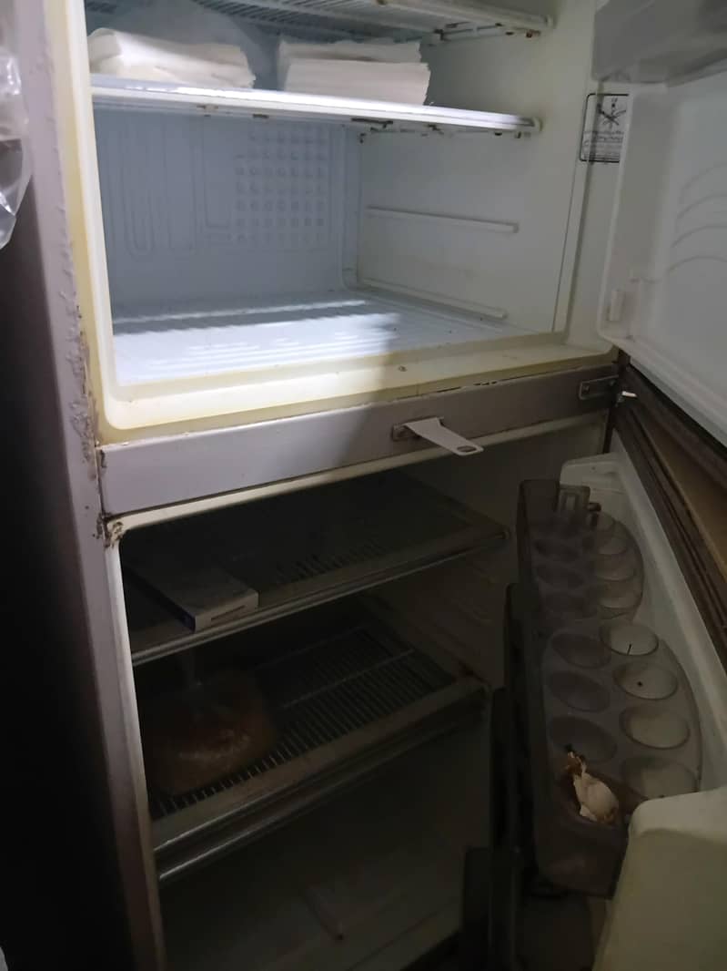 fridge 1