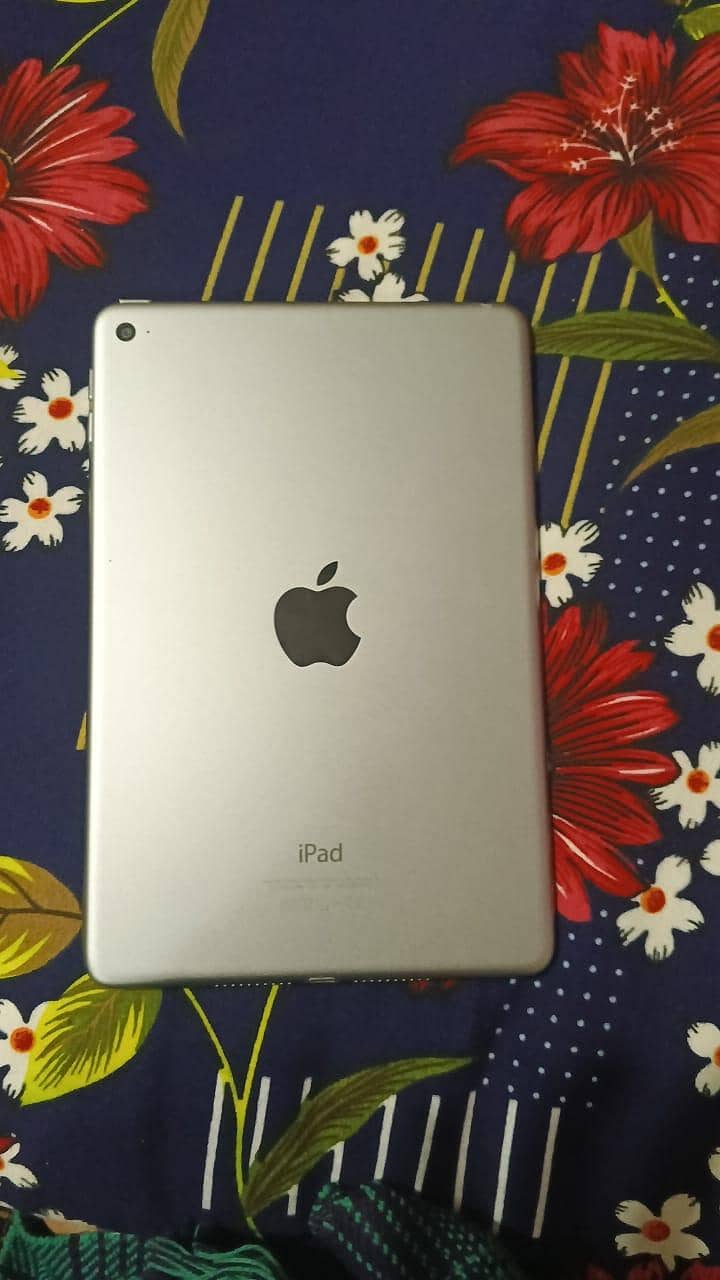 iPad Mini 5 0
