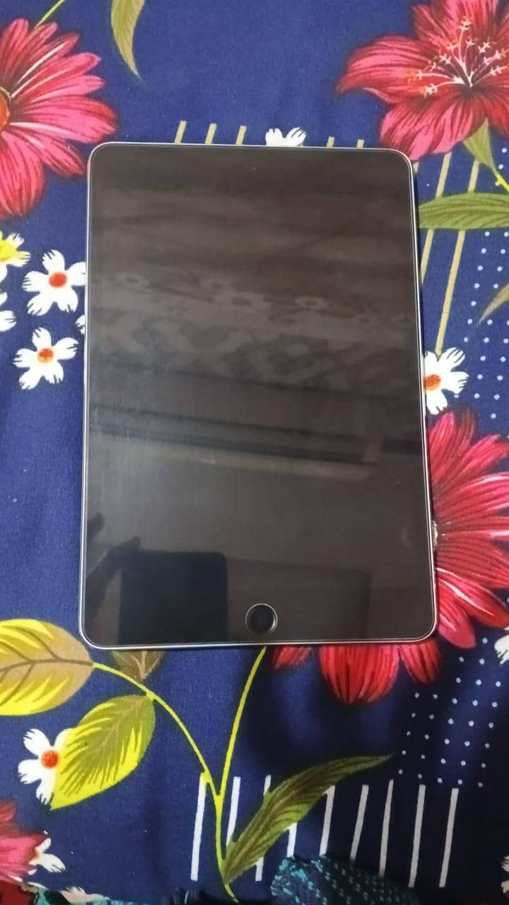 iPad Mini 5 1