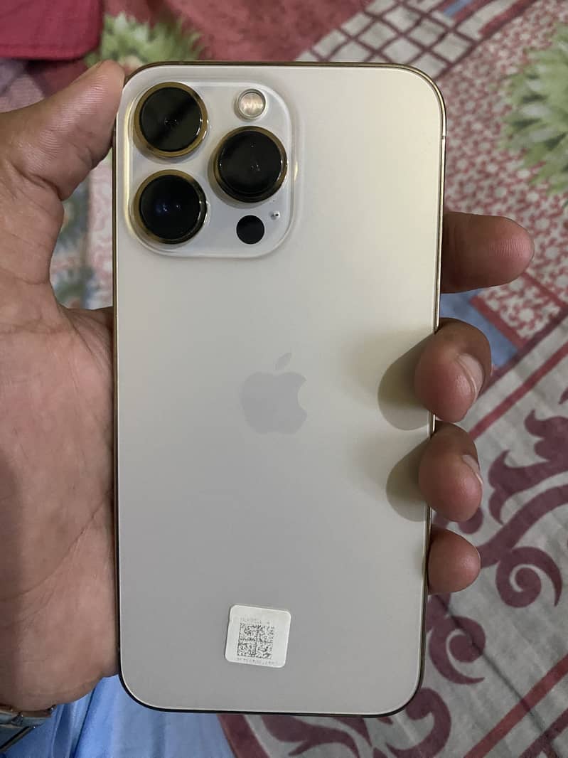 iPhone 13 Pro 1
