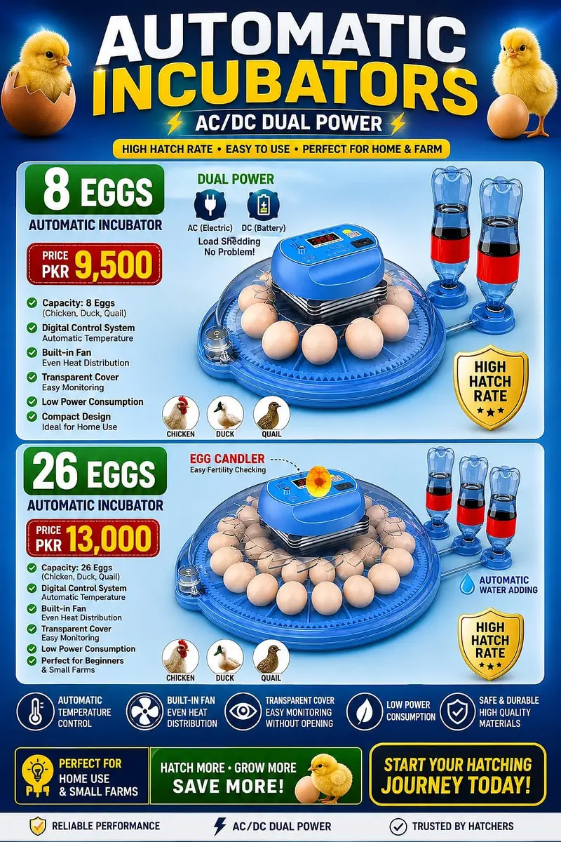 Automatic digital egg incubator| 8/26 eggs capacity | new