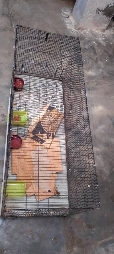Iron cage