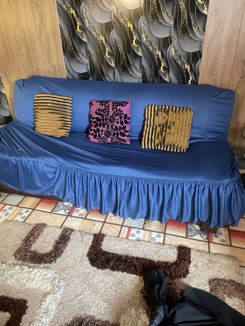 5 setter 1