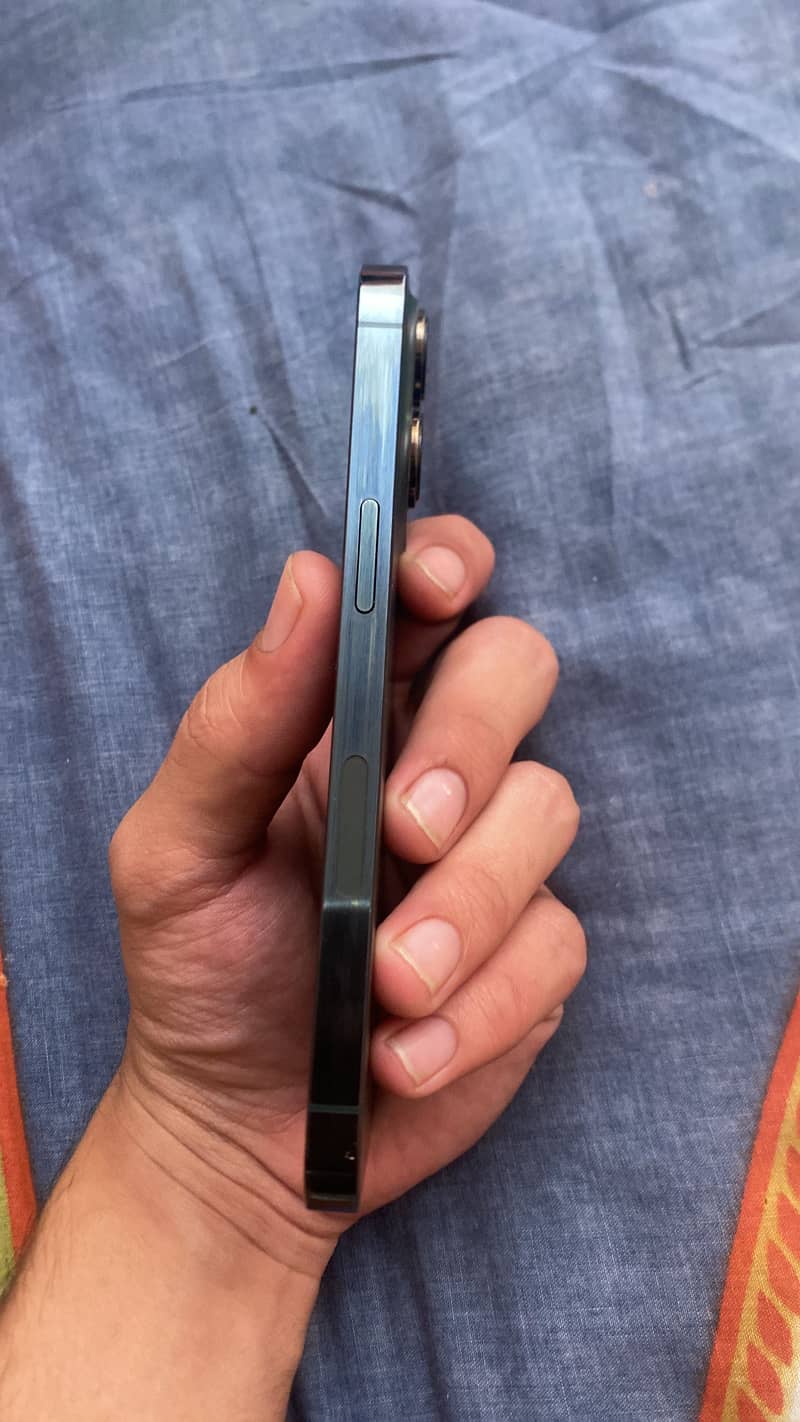 iPhone 5