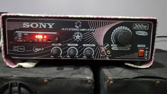 10 inches Speakers with Amplifier