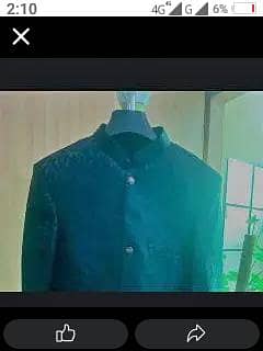 prince paint coat