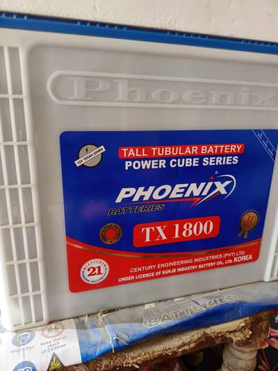 phoenix Tubular Batteries