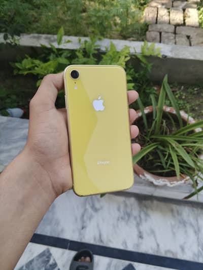 Iphone xr