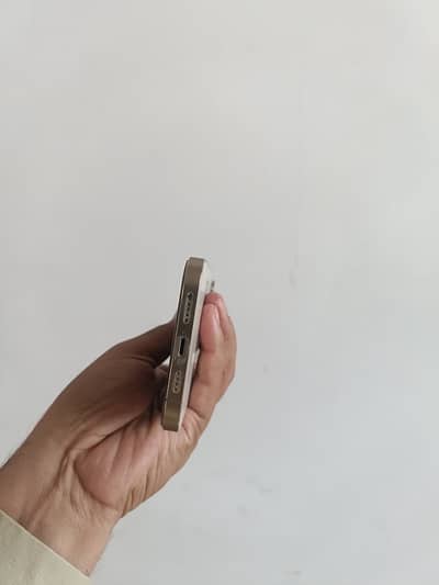 12 promax 512gb